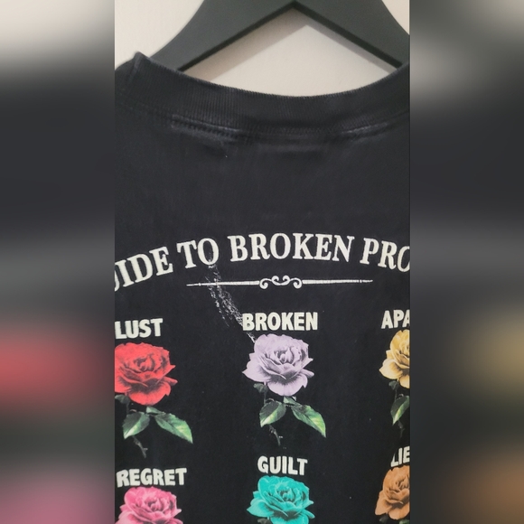 Broken promises Large HEAVYWEIGHT FEELED GUIDE TEE BLACK roses - Picture 3 of 9